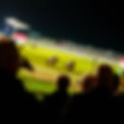 A thrilling horse race at Ladbrokes