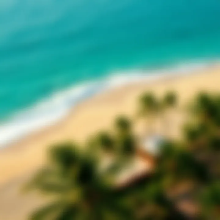Aerial view of a Hawaiian beach with palm trees