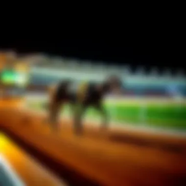 Notable Understanding Live Greyhound Racing Tracks: A Comprehensive Insight Notable Understanding Live Greyhound Racing Tracks: A Comprehensive Insight